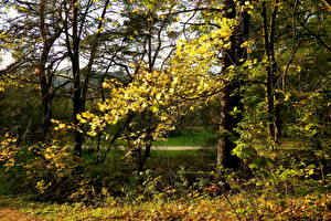 Фотографии Сезон года Осень Парки Вильнюс Литва vingio parkas Природа