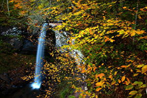 Фотография Водопады Времена года Осенние Природа