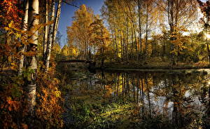Картинки Времена года Осенние Озеро Природа