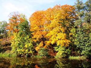 Картинки Времена года Осенние Река Чехия Край Высочина Природа