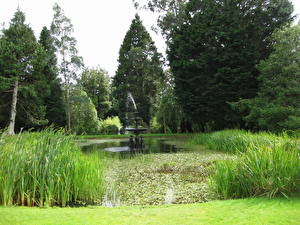 Обои Сады Пруд Powerscourt Gardens Ирландия Эннискерри Природа