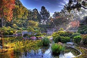 Фотографии Сады Пруд Earl Burns Miller Japanese Garden California USA Природа