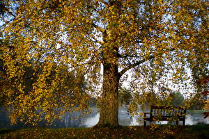 Картинки Сезон года Осень Вильнюс Литва Природа