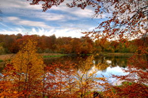 Картинка Сезон года Осень Реки Природа