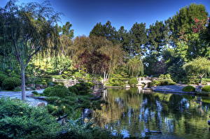Фото Сады Пруд Штаты Калифорния Earl Burns Miller Japanese Garden Природа