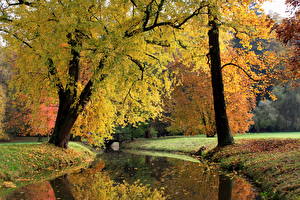 Фотография Времена года Осенние Речка Чехия Pruhonice Природа
