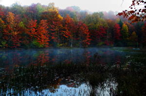 Фотография Времена года Осенние Озеро Штаты Virginia Природа