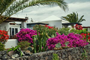 Фото Здания Испания Канарские острова Яйса