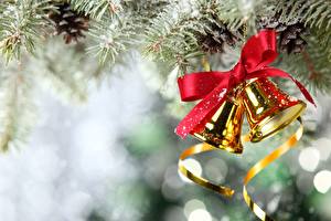 Обои Праздники Рождество Колокольчики Ветвь Новогодняя ёлка Шишка колокольчики на елку