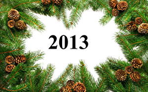 Фотография Праздники Новый год 2013 На ветке Новогодняя ёлка Шишки