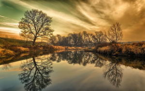 Картинка Небо Озеро Польша Дерево Облако Nowa Sol Природа