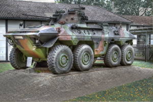 Картинки Боевая техника Бронетранспортёр Spahpanzer Luchs A2