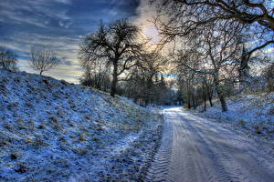 Картинки Времена года Зима Дороги Снегу Природа