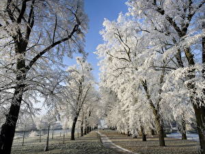Фотография Времена года Зима Дороги Снеге Природа