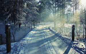 Картинки Времена года Зима Лес Дороги Снега Природа
