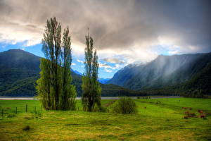 Обои Гора Новая Зеландия Трава Природа