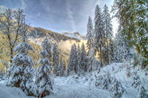 Фото Времена года Зимние Лес Снег Природа