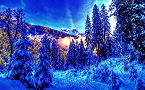 Картинки Времена года Зимние Леса Снег Природа