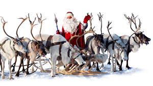 Картинка Праздники Рождество Олени Санта-Клаус Сани