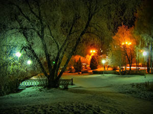 Картинки Времена года Зима Лучи света Снегу Ночные Дерева парк Нижнего Тагила Природа