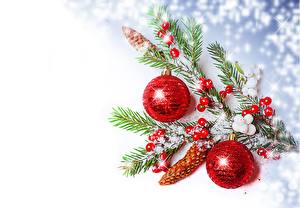Фотографии Праздники Новый год Шарики Ветка Елка Шишка