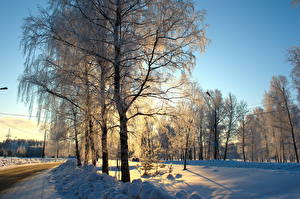 Фото Времена года Зима Дороги Снеге Деревья Природа