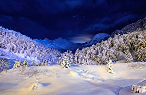 Обои Времена года Зимние Небо Лес Снеге Ночные Деревья Природа