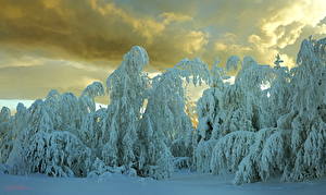 Фотография Времена года Зима Небо Снеге Природа