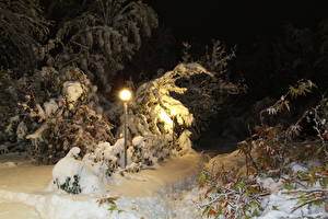 Фото Времена года Зима Снега Уличные фонари Ночь Природа