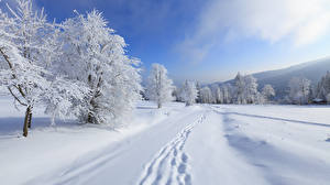Фотография Зима Небо Снеге Природа