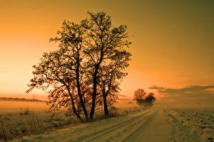 Фото Времена года Зимние Дороги Небо Снегу Деревья Природа