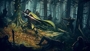 Фотография Сражения Воители Лучники Лес С мечом Фантастика