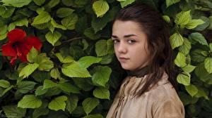 Картинки Мэйси Уильямс Смотрит Листья Брюнетки Знаменитости