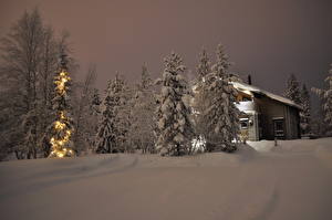 Обои для рабочего стола Времена года Зимние Финляндия Снег Деревья Ночь Лапландия Природа