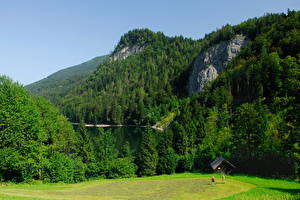 Обои Гора Леса Австрия Salzkammergut Природа