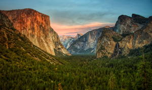 Картинки Гора Леса Штаты HDR Йосемити Калифорнии
