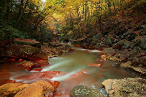 Обои Река Леса Сезон года Осень Камень HDR Природа
