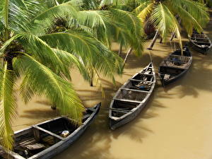 Фотографии Тропический Лодки Пальмы Природа