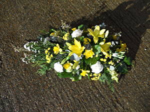 Картинка Букет Лилия цветок