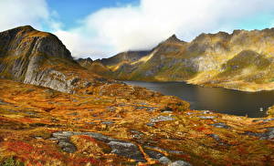Фото Озеро Гора Норвегия Трава Agvatnet Природа