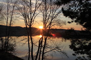 Обои для рабочего стола Рассвет и закат Озеро Лучи света Деревья Ветка Природа