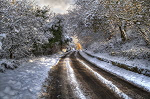 Картинки Времена года Зимние Дороги Снега Деревьев HDRI Природа