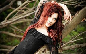 Картинки Susan Coffey Смотрят На ветке Рыжая Волосы молодая женщина