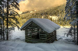 Фотографии Времена года Зима Лес Австрия Снег HDRI Alps Природа