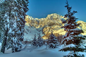 Фотографии Времена года Зимние Гора Австрия Снег Деревьев Ели Альпы Природа