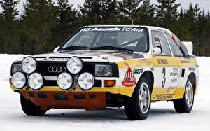 Фотография Audi Снегу Фар Sport Quattro Groub B авто