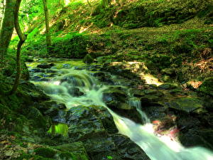 Картинка Водопады Камень Зеленая Мох Ручей Ziegelbach Природа
