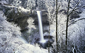 Фото Водопады Времена года Зима Снега Деревья Ручей Природа