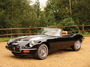 Фото Jaguar Черных Фар Родстер e-type v12 roadster 1974–75 машина