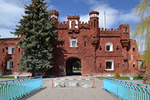Картинки Известные строения Ель Брестская крепость-герой Города